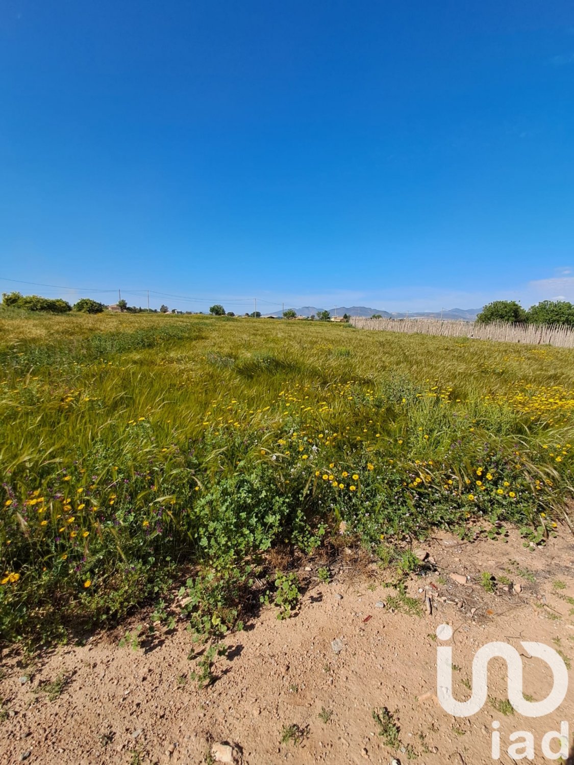 Parcela en Lorca, Murcia, España 3843 m2 No. 185881