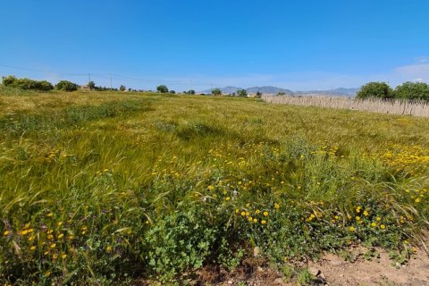 Parcela en venta en Lorca, Murcia, España 3843 m2 No. 185881 - foto 16