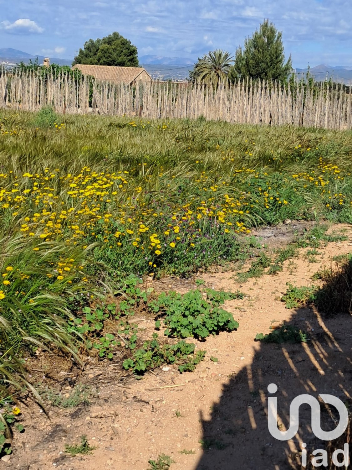 Parcela en Lorca, Murcia, España 3843 m2 No. 185881