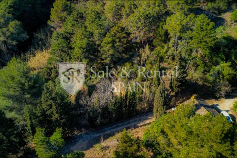 Māja pārdošanā Lloret de Mar, Girona, Spānijā 1 istaba, 743 m2 Nr. 166651 - attēls 17