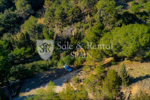 Māja pārdošanā Lloret de Mar, Girona, Spānijā 1 istaba, 743 m2 Nr. 166651 - attēls 15