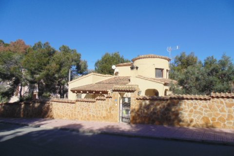 Villa for sale Villamartin, Alicante, Spain 6 bedrooms, 250 sq.m. No. 113934 - photo 3