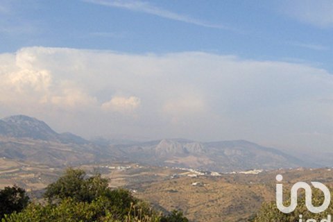 Land plot in Casabermeja, Malaga, Spain 47000 sq.m. No. 185683