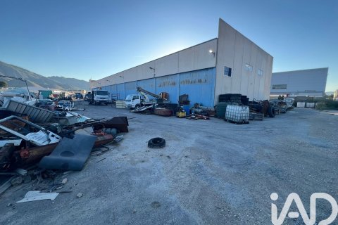Liikekiinteistö vuokrattavana Orihuela, Alicante, Espanja , 1402 m2 No. 172086 - kuva 22