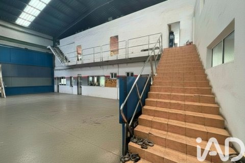 Liikekiinteistö vuokrattavana Orihuela, Alicante, Espanja , 1402 m2 No. 172086 - kuva 15