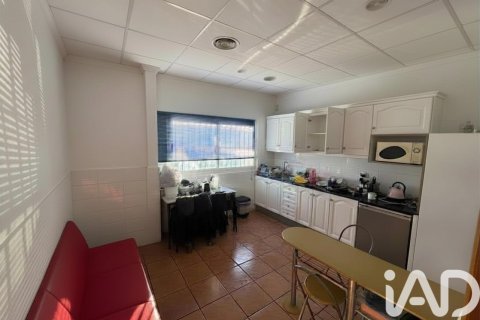 Liikekiinteistö vuokrattavana Orihuela, Alicante, Espanja , 1402 m2 No. 172086 - kuva 5
