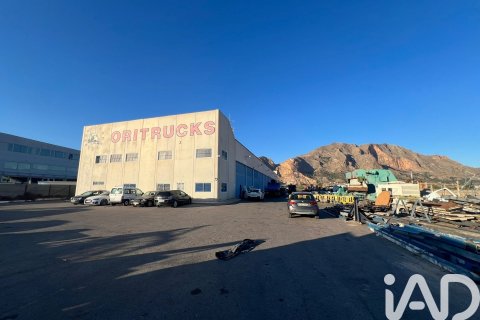 Liikekiinteistö Orihuela, Alicante, Espanja 1402 m2 No. 172086