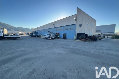 Liikekiinteistö vuokrattavana Orihuela, Alicante, Espanja , 1402 m2 No. 172086 - kuva 21