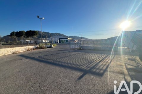 Liikekiinteistö vuokrattavana Orihuela, Alicante, Espanja , 1402 m2 No. 172086 - kuva 19