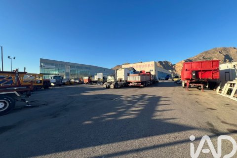 Liikekiinteistö vuokrattavana Orihuela, Alicante, Espanja , 1402 m2 No. 172086 - kuva 20
