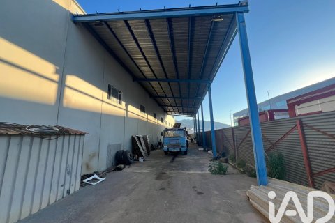 Liikekiinteistö vuokrattavana Orihuela, Alicante, Espanja , 1402 m2 No. 172086 - kuva 23