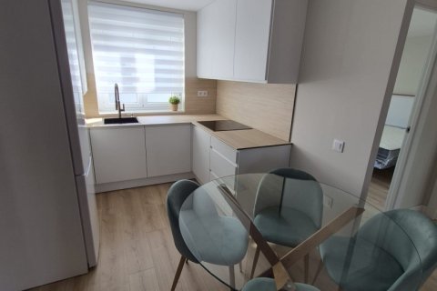 Huoneisto vuokrattavana Leon, Espanja, 2 makuuhuonetta, 80 m2 No. 172089 - kuva 21