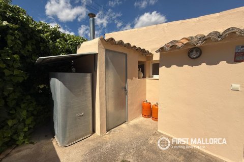 Аренда финки в Аларо, Майорка, Испания 3 спальни, 112м2 №164874 - фото 6