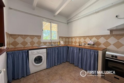 Аренда финки в Аларо, Майорка, Испания 3 спальни, 112м2 №164874 - фото 10