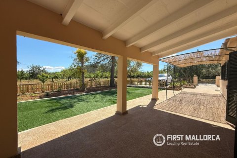 Аренда финки в Аларо, Майорка, Испания 3 спальни, 112м2 №164874 - фото 5