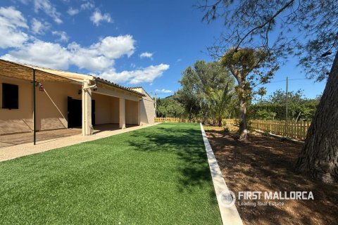 Аренда финки в Аларо, Майорка, Испания 3 спальни, 112м2 №164874 - фото 3