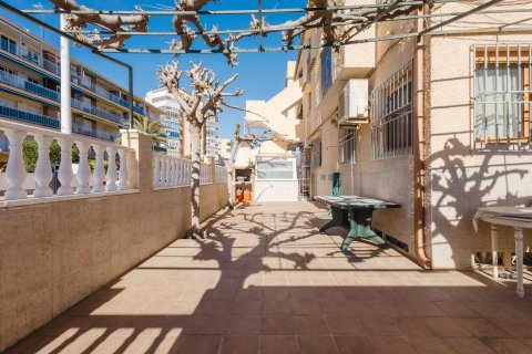 Bungalowi myytävänä La Mata, Alicante, Espanja, 2 makuuhuonetta, 75 m2 No. 149711 - kuva 11
