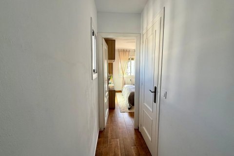 Penthäuser zum Verkauf in Torrevieja, Alicante, Spanien 3 Schlafzimmer, 89 m2 Nr. 149709 - Foto 19