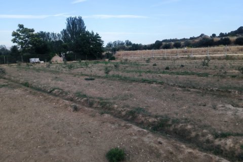 Proprietà commerciale in vendita a La Peza, Granada, Spagna N° 188358 - foto 14