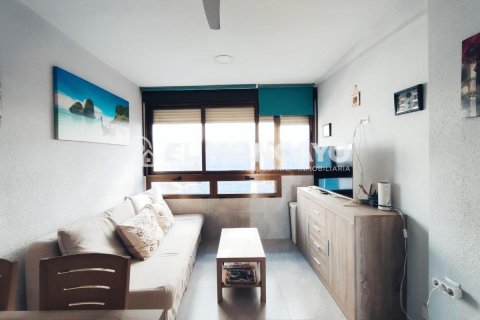 Apartment à vendre à Torrevieja, Alicante, Espagne, 1 chambre, 38 m2 No. 183844 - photo 11