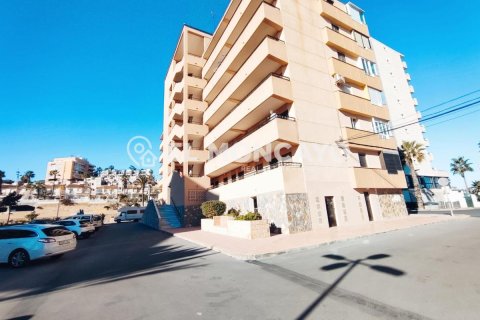 Lägenhet i Torrevieja, Alicante, Spanien 1 sovrum, 38 kvm. Nr. 183844