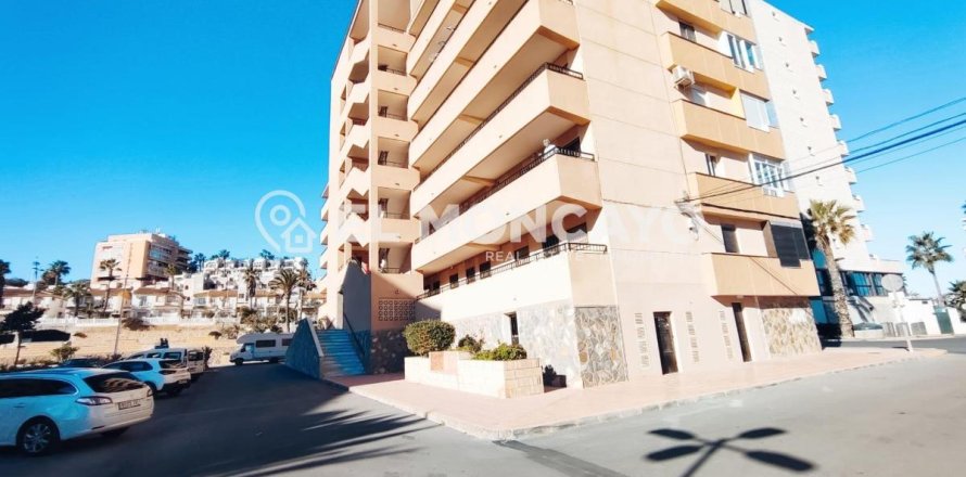 Apartment à Torrevieja, Alicante, Espagne 1 chambre, 38 m2 No. 183844