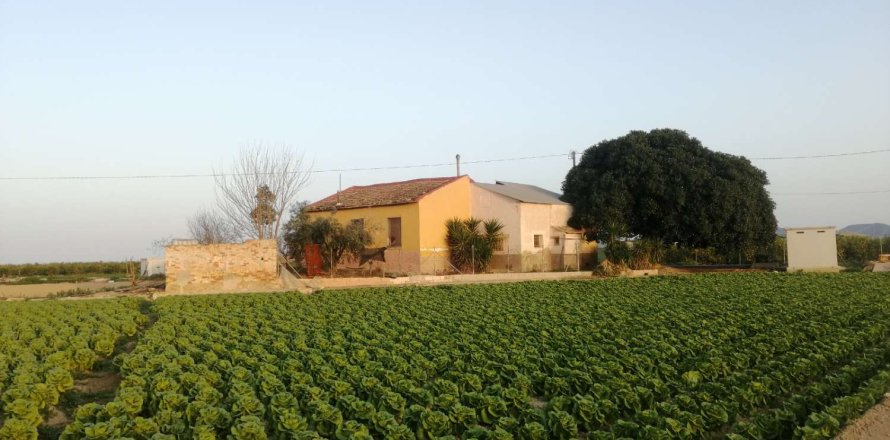 Villa in Orihuela, Alicante, Spanien 3 Schlafzimmer, 150 m2 Nr. 183841