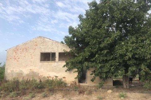Māja Alicante, Spānijā 2700 m2 Nr. 183840