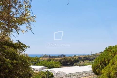 Finca myytävänä Cabrils, Barcelona, Espanja, 4 makuuhuonetta, 232 m2 No. 193688 - kuva 25