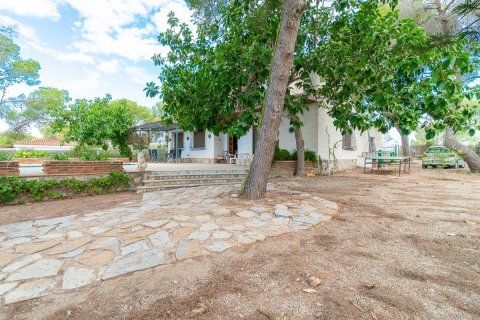 Huvila myytävänä Pinar De Campoverde, Alicante, Espanja, 4 makuuhuonetta, 171 m2 No. 138369 - kuva 30