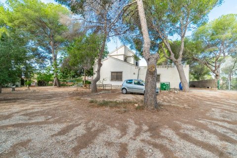 Huvila myytävänä Pinar De Campoverde, Alicante, Espanja, 4 makuuhuonetta, 171 m2 No. 138369 - kuva 24