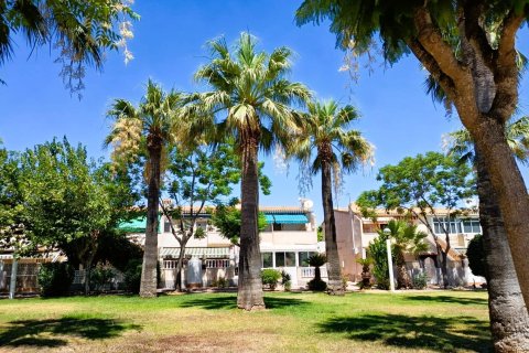 Bungalow w Alicante, Hiszpania 2 sypialnie, 70 mkw. nr 190161 – zdjęcie 28