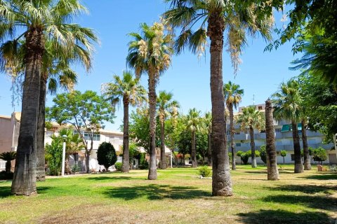 Bungalow w Alicante, Hiszpania 2 sypialnie, 70 mkw. nr 190161 – zdjęcie 29