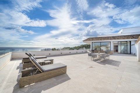 Пентхаус в Иллет (Сес), Майорка, Испания 4 спальни, 292м2 №161149