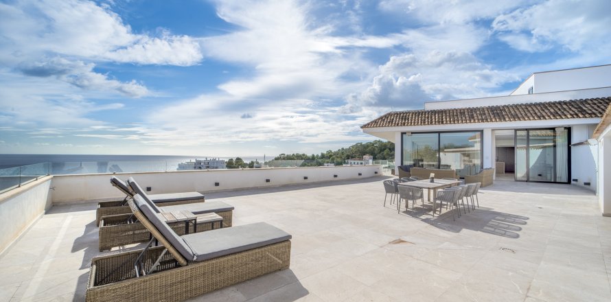 Пентхаус в Иллет (Сес), Майорка, Испания 4 спальни, 292м2 №161149