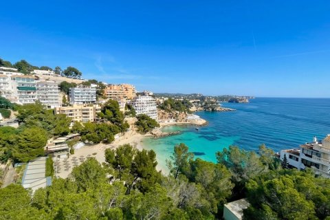 Huoneisto vuokrattavana Illetes (Ses), Mallorca, Espanja, 2 makuuhuonetta, 80 m2 No. 161148 - kuva 13