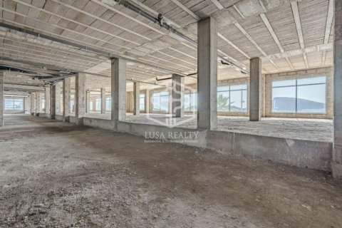 Kommersiell fastighet till salu i San Cristobal de La Laguna, Tenerife, Spanien 1272 kvm. Nr. 161147 - foto 11