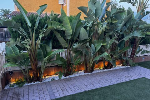 Huvila vuokrattavana Port D'alcudia, Mallorca, Espanja, 3 makuuhuonetta, 114 m2 No. 161152 - kuva 7