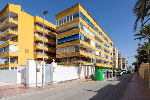 Dzīvoklis pārdošanā Punta Prima, Alicante, Spānijā 2 istabas, 85 m2 Nr. 183569 - attēls 27
