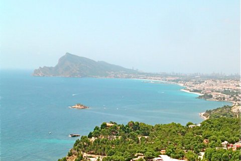 Продажа квартиры в Аликанте, Испания 1 спальня, 70м2 №145533 - фото 19