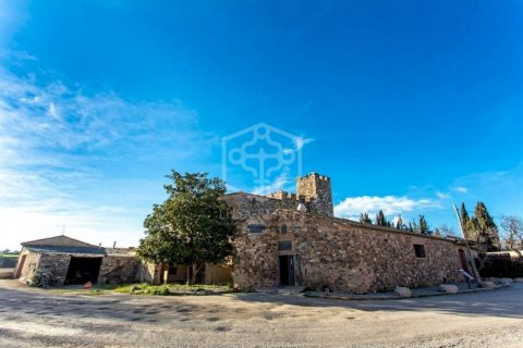 House zum Verkauf Barcelona, Spanien 5000 m2 Nr. 78273 - Foto 16