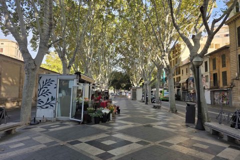 Apartament Palma de Majorca, Mallorca, Hiszpania 45 mkw. nr 138350 – zdjęcie 14