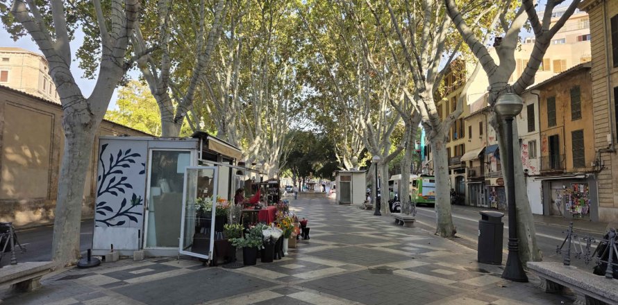 Apartament w Palma de Majorca, Mallorca, Hiszpania 45 mkw. nr 138350