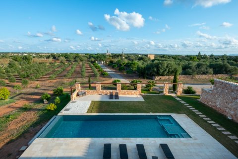 Finca myytävänä Ses Salines, Mallorca, Espanja, 5 makuuhuonetta, 423 m2 No. 138346 - kuva 12