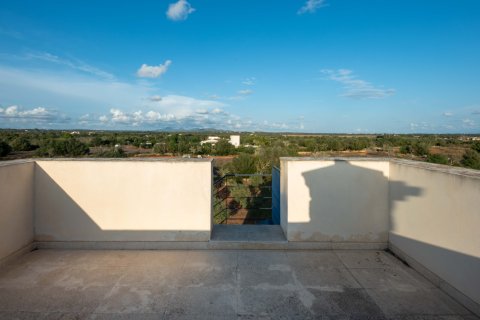 Finca myytävänä Ses Salines, Mallorca, Espanja, 5 makuuhuonetta, 423 m2 No. 138346 - kuva 15