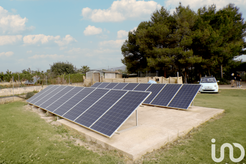 Продажа дома в Санта-Мария-дель-Ками, Майорка, Испания 4 спальни, 3631м2 №154030 - фото 20