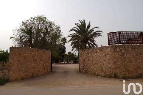 Продажа дома в Санта-Мария-дель-Ками, Майорка, Испания 4 спальни, 3631м2 №154030 - фото 2