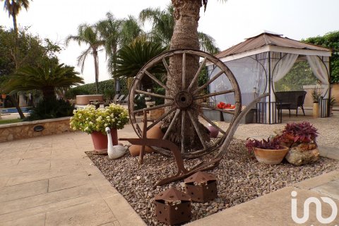 Продажа дома в Санта-Мария-дель-Ками, Майорка, Испания 4 спальни, 3631м2 №154030 - фото 25