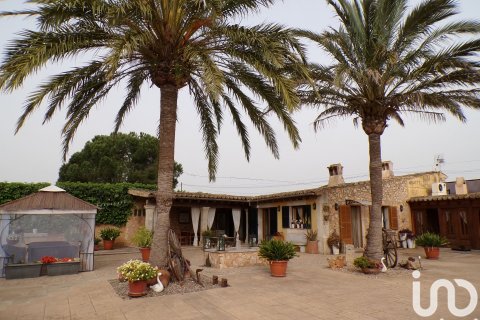 Продажа дома в Санта-Мария-дель-Ками, Майорка, Испания 4 спальни, 3631м2 №154030 - фото 4