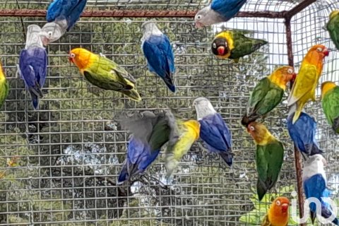 Dom w Alberic, Valencia, Hiszpania 5 sypialni, 323 mkw. nr 154032 – zdjęcie 23